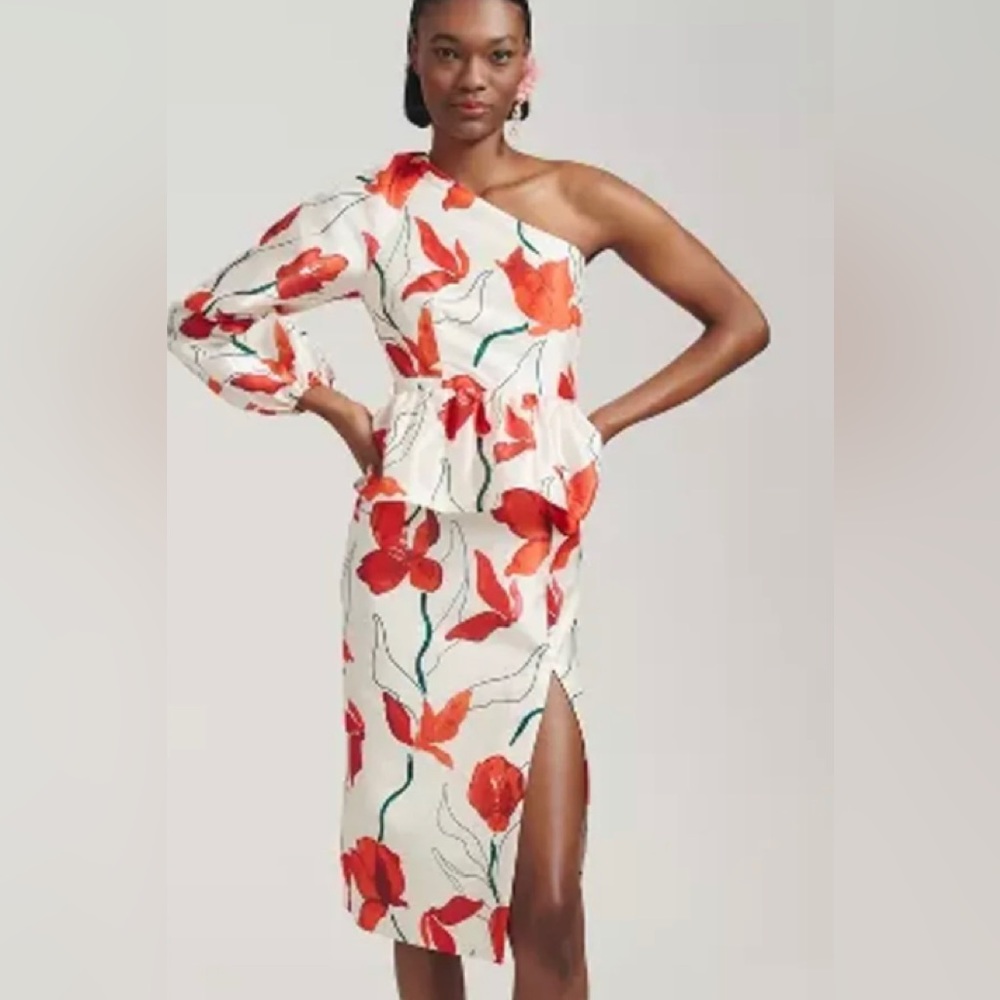 NWT Anthropologie Hutch One-Shoulder Floral Peplum Dress size 10